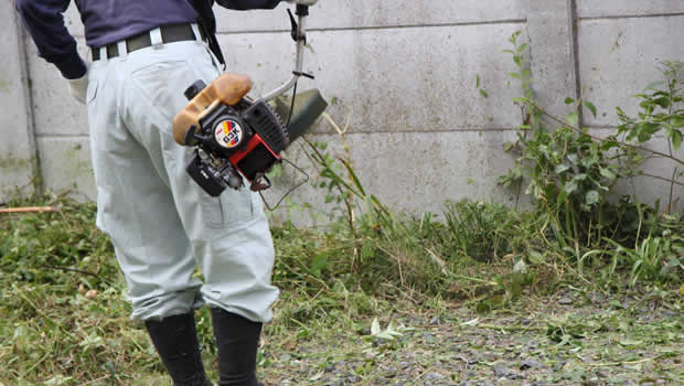 岐阜片付け110番の草刈りサービス